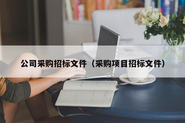 公司采購招標文件（采購項目招標文件）