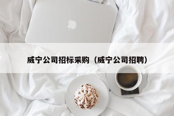 威寧公司招標(biāo)采購（威寧公司招聘）