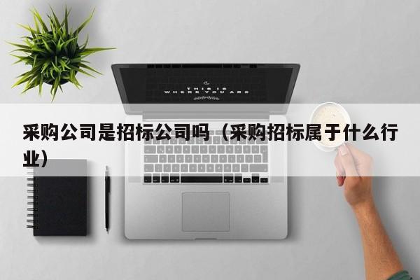 采購公司是招標公司嗎（采購招標屬于什么行業）