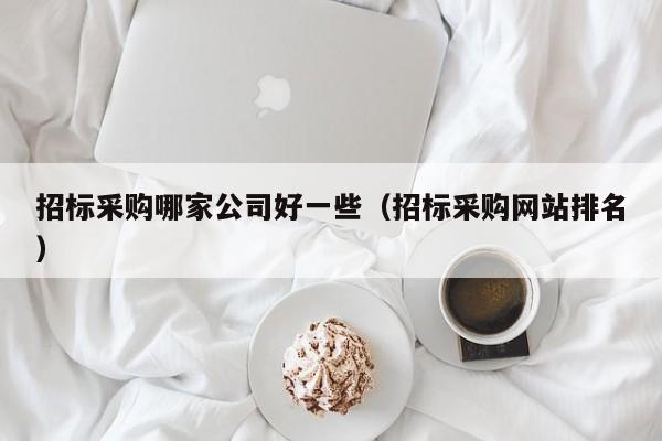 招標(biāo)采購(gòu)哪家公司好一些（招標(biāo)采購(gòu)網(wǎng)站排名）