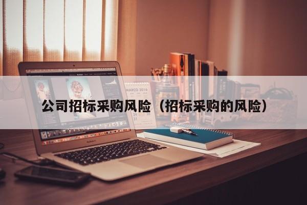 公司招標(biāo)采購(gòu)風(fēng)險(xiǎn)（招標(biāo)采購(gòu)的風(fēng)險(xiǎn)）