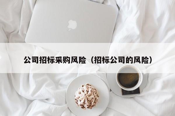 公司招標(biāo)采購(gòu)風(fēng)險(xiǎn)（招標(biāo)公司的風(fēng)險(xiǎn)）