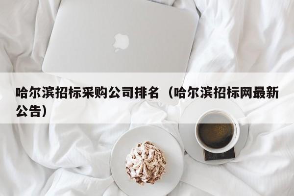 哈爾濱招標(biāo)采購公司排名（哈爾濱招標(biāo)網(wǎng)最新公告）