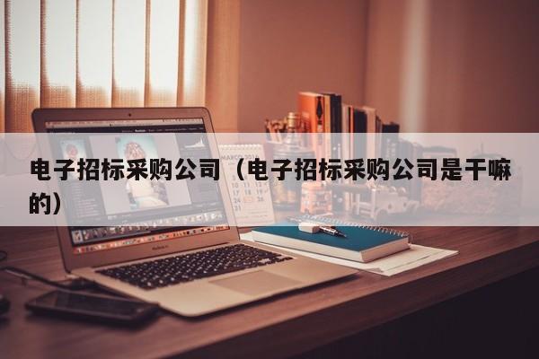 電子招標采購公司（電子招標采購公司是干嘛的）